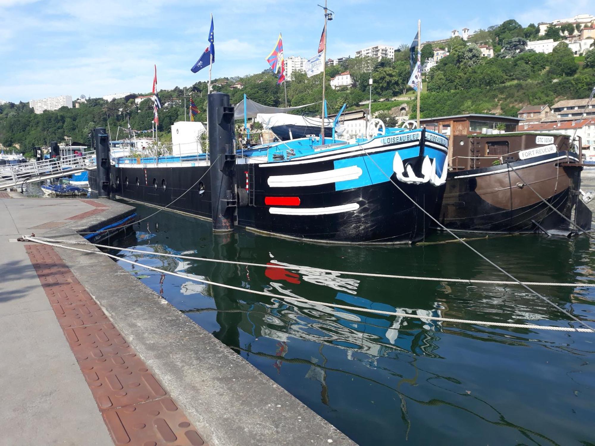 Accommodatie bij particulieren Peniche L Oiseau Bleu *